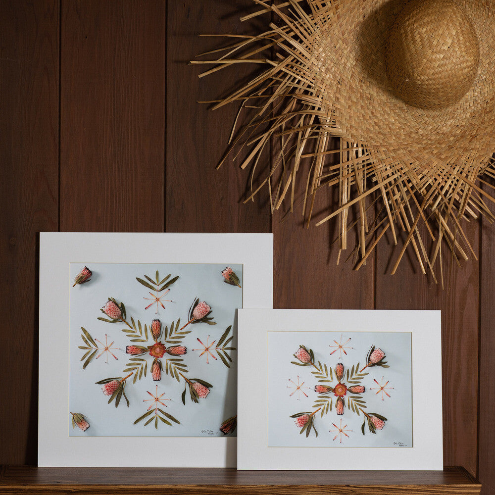 16x16 and 11x14 queen protea pink protea photograph made in hawaii