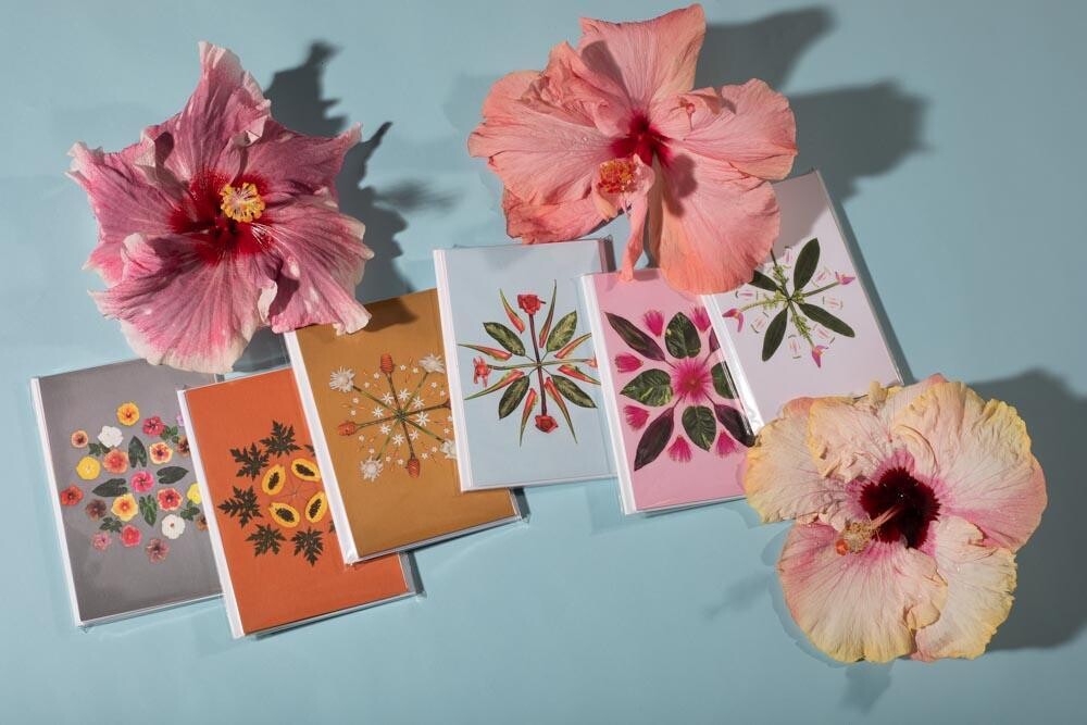 hawaiian quilt design postcards 6 pack