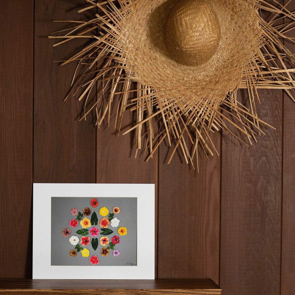 11x14 rainbow hibiscus image