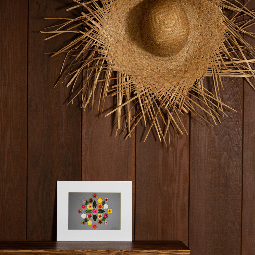 8x10 photograph of hibiscus
