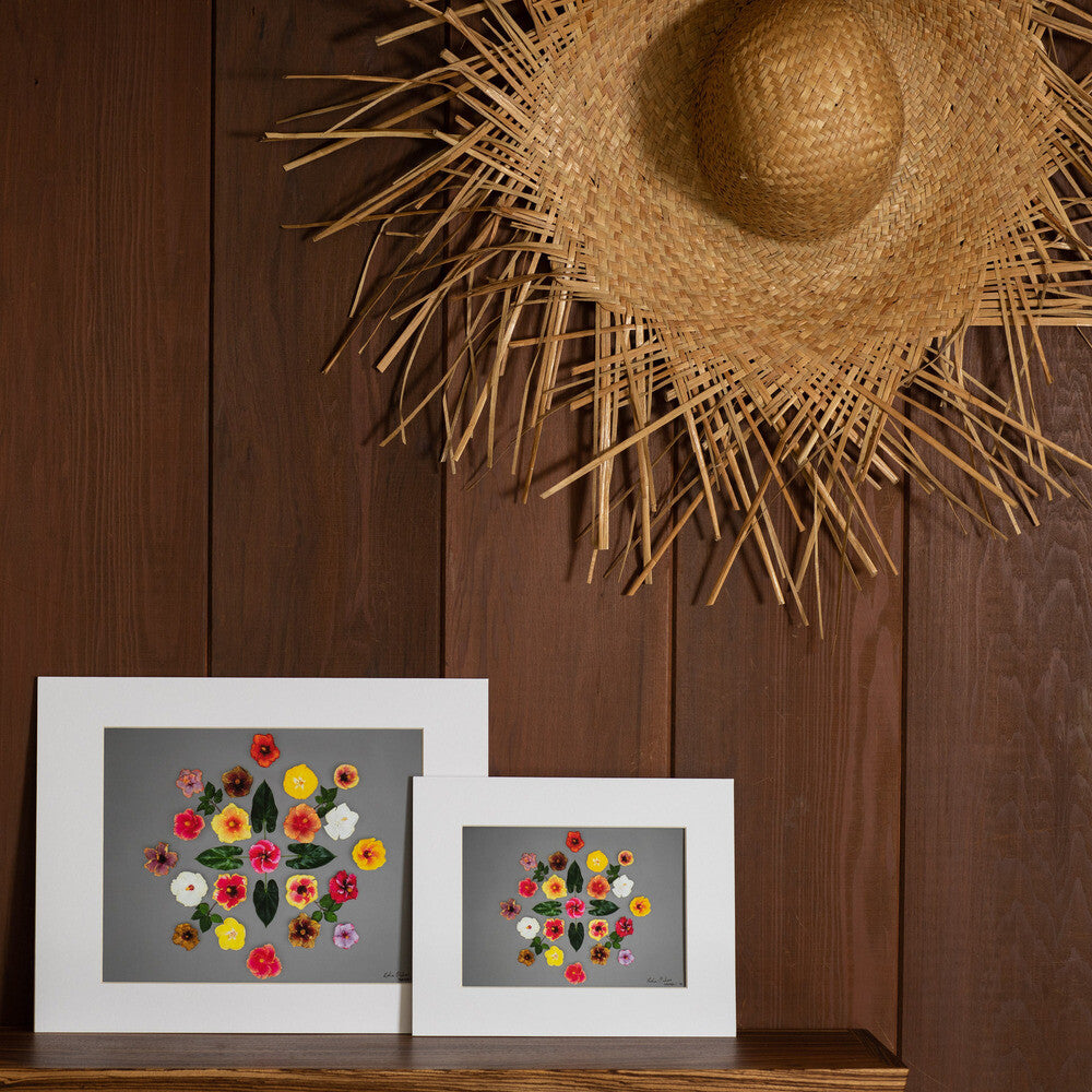 hawaiian photograph of hibiscus