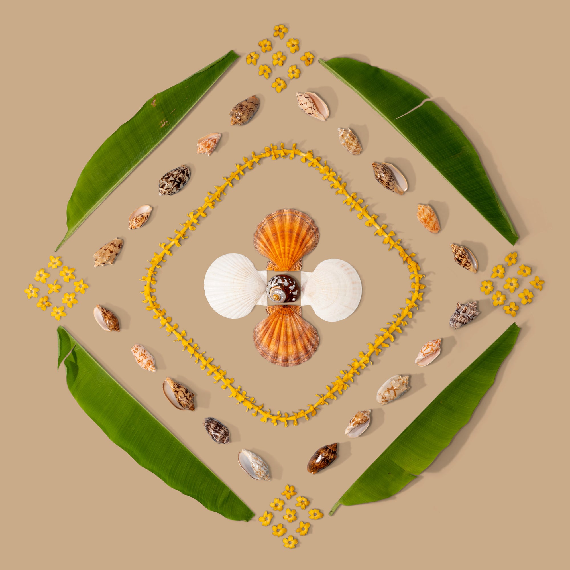 Sandy Beach - Oct. 22 Collection