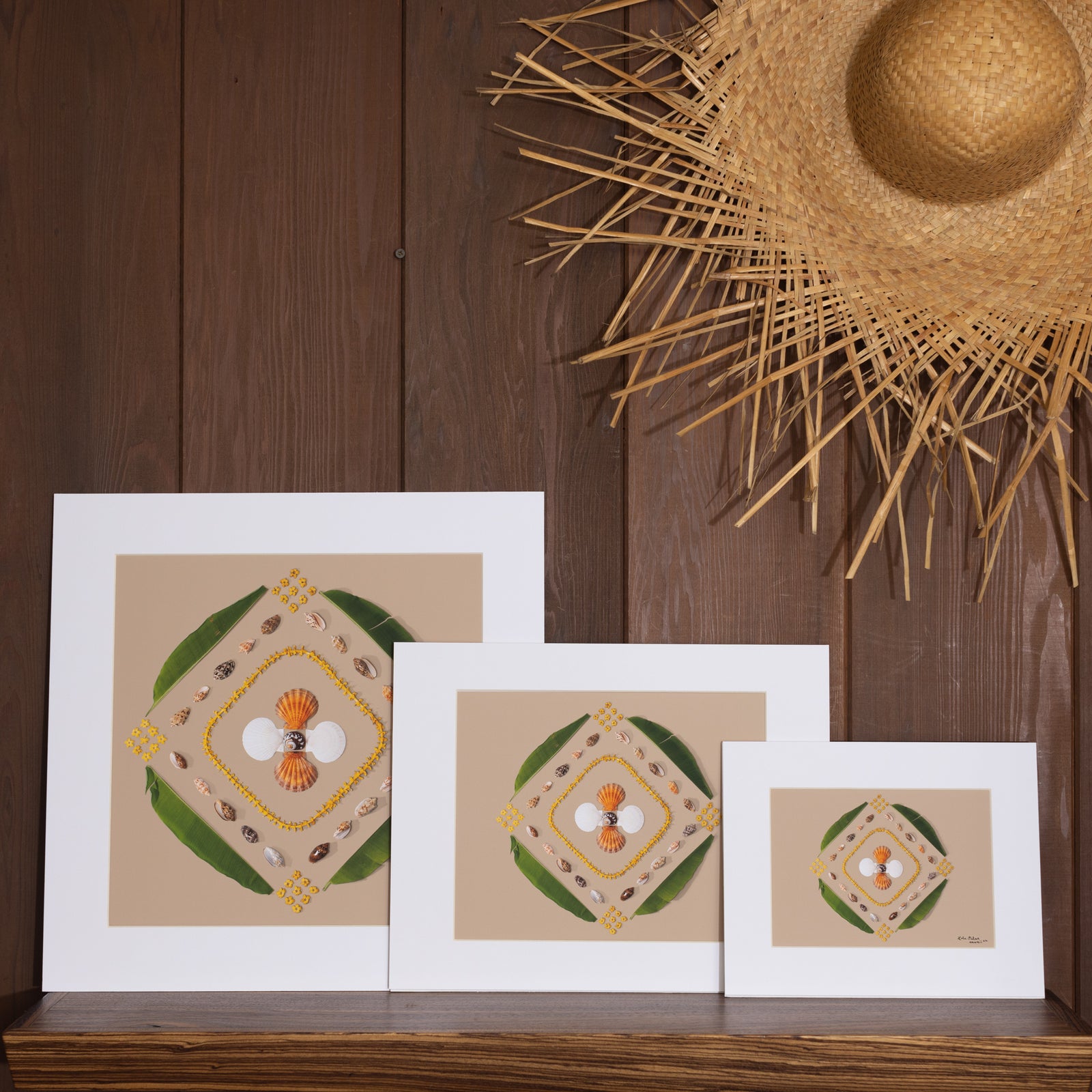 Sandy Beach - Oct. 22 Collection