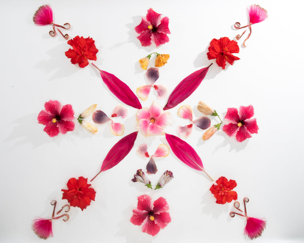 shades of pink lola pilar hawaii art print hibiscus ti leaf bombax flowers