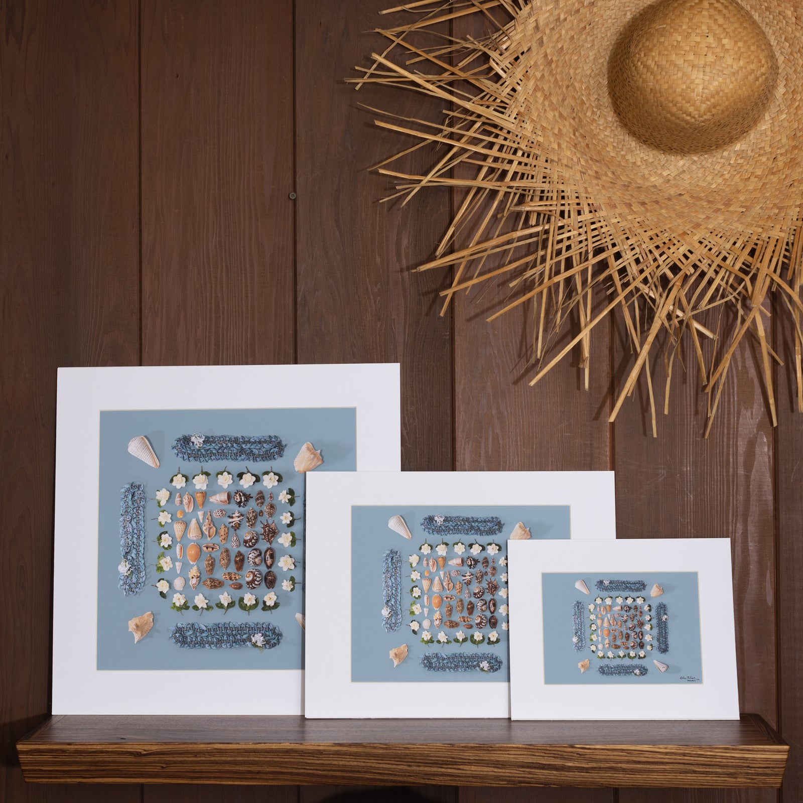 Shellabrate - Oct. 22 Collection