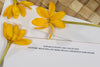 Hawaiian Snowflake Collection - Holiday Cards