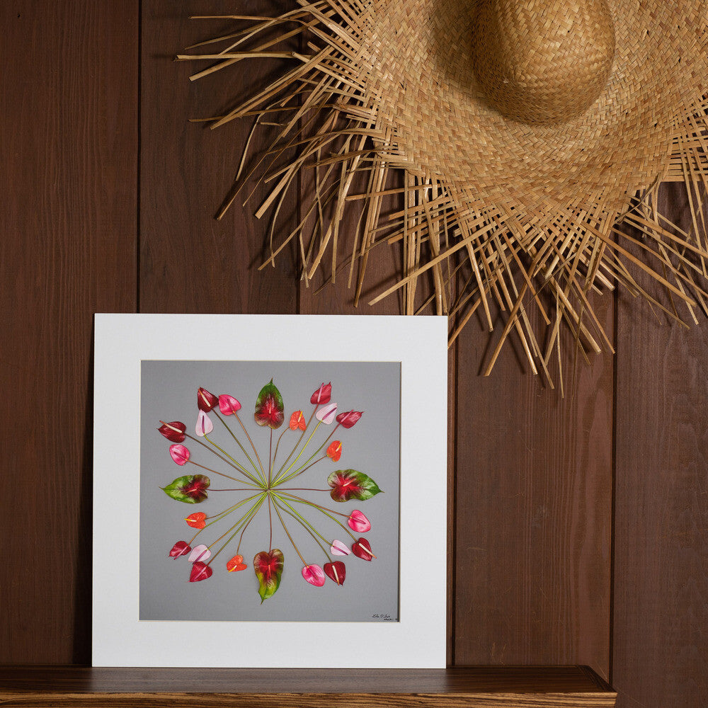 grey background with anthuriums in a circular motion design