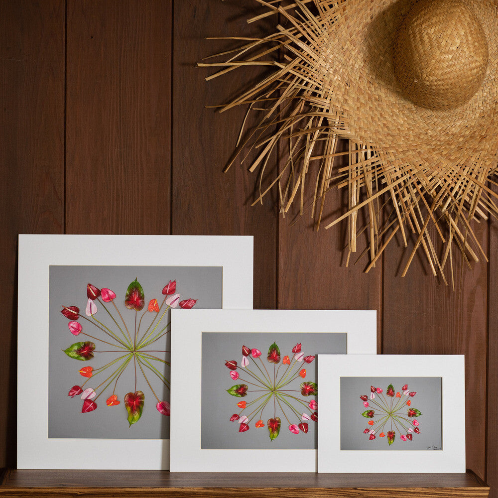 16x16 11x14 8x10 photo of anthuriums