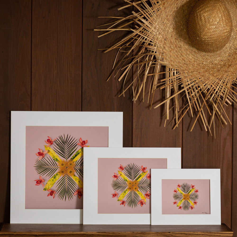 pink palace artwork featuring orchids palm croton and protea