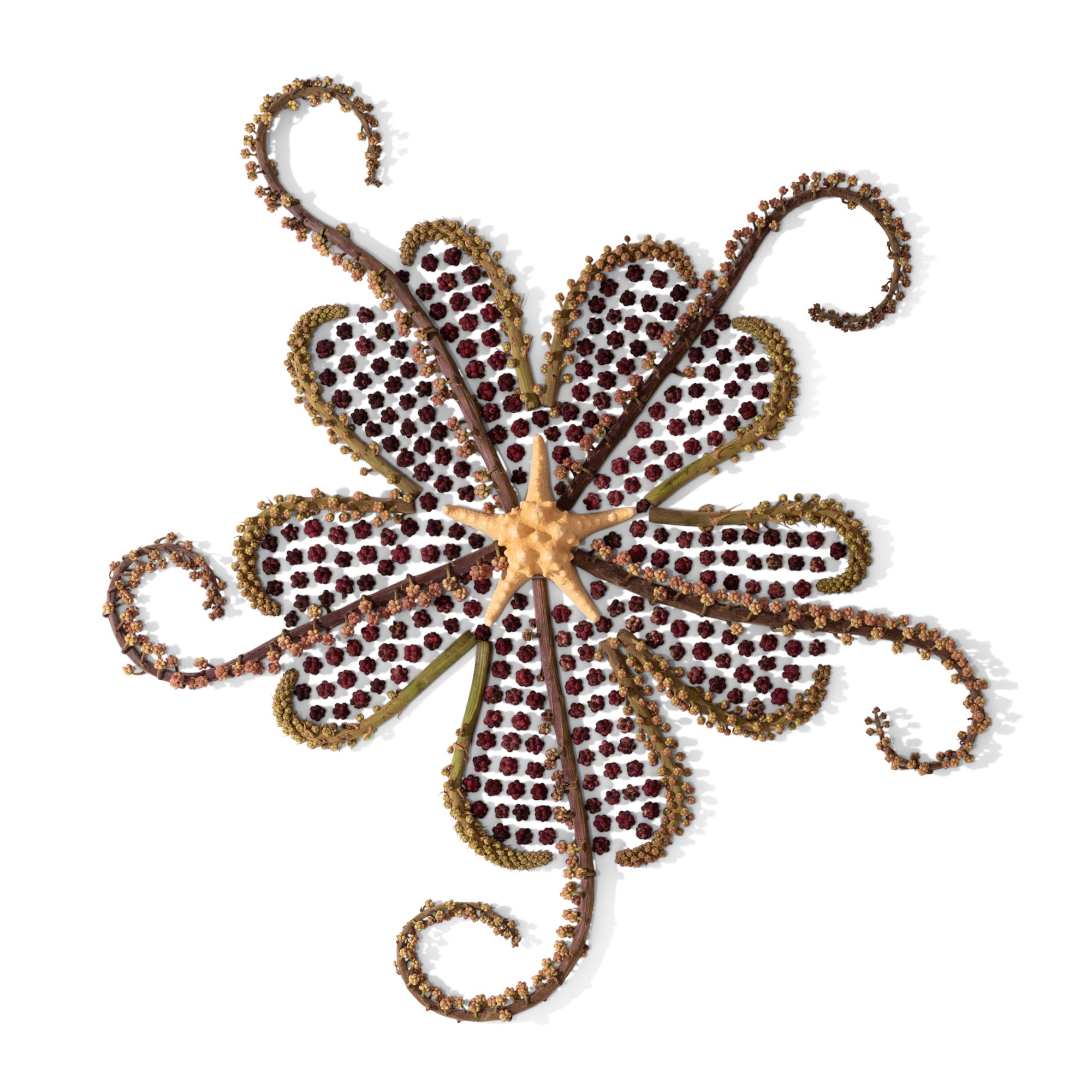 Uncle's Tako - Oct. 22 Collection